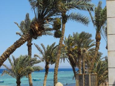 Apartamento de vacaciones en dahab (Janub Sina')Casa de vacaciones