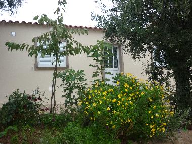 Casa de vacaciones en cernache do bonjardim (Pinhal Interior Sul)Casa de vacaciones