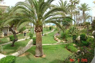 Apartamento de vacaciones en Denia (Alicante) (Alicante / Alacant)Casa de vacaciones
