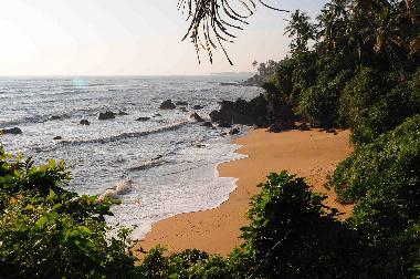 Cama y desayuno en Kannur (Kerala)Casa de vacaciones
