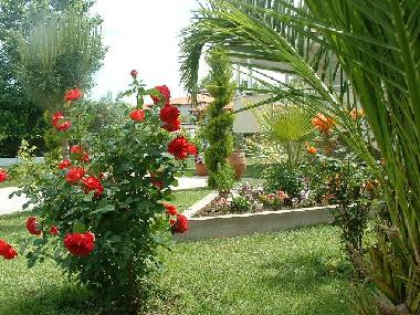 Apartamento de vacaciones en Vrasna Beach (Chalkidiki)Casa de vacaciones