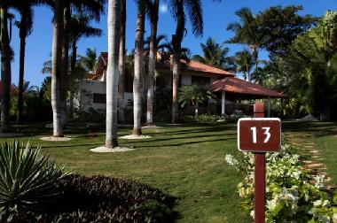 Entrada  a la villa con el palmeral a la izquierda