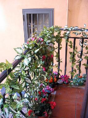 Apartamento de vacaciones en rome (Roma)Casa de vacaciones