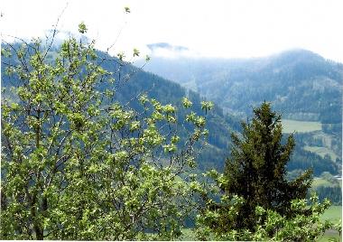 Apartamento de vacaciones en P�ls ob Judenburg (Westliche Obersteiermark)Casa de vacaciones