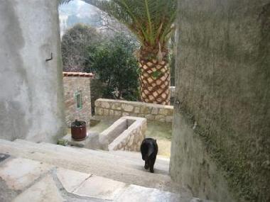 Casa de vacaciones en Mali Losinj (Primorsko-Goranska)Casa de vacaciones