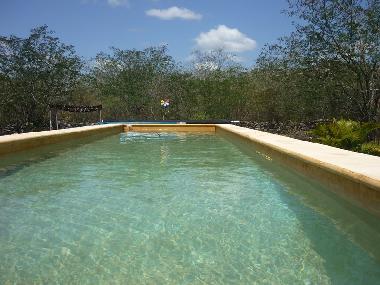 Apartamento de vacaciones en Cuzama (Yucatan)Casa de vacaciones
