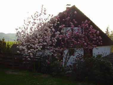 Apartamento de vacaciones en Vala�sk� Meziř�č� (Zlinsky Kraj)Casa de vacaciones