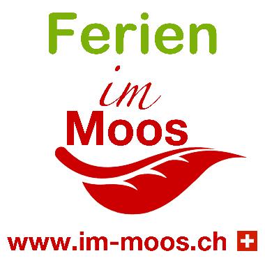 Apartamento de vacaciones en M�nster VS (Goms)Casa de vacaciones