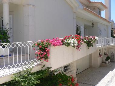 Villa en Cascais (Grande Lisboa)Casa de vacaciones