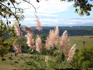 Casa de vacaciones en Gensac de Boulogne (Haute-Garonne)Casa de vacaciones