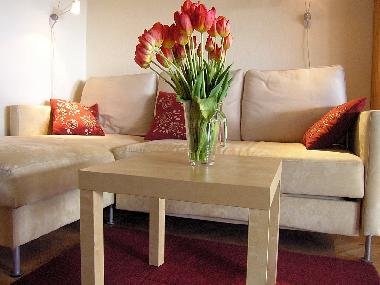 Apartamento de vacaciones en Krakow (Malopolskie)Casa de vacaciones