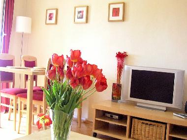 Apartamento de vacaciones en Krakow (Malopolskie)Casa de vacaciones