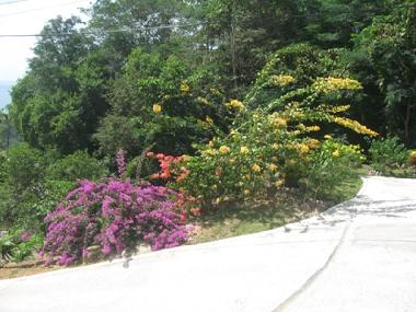 Apartamento de vacaciones en Mahe (Anse Royale)Casa de vacaciones