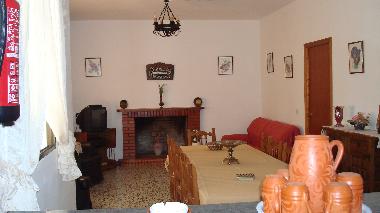 Sal�n con chimenea