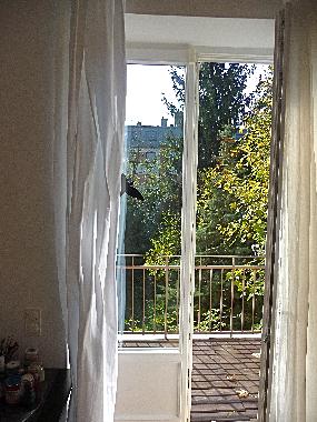 Apartamento de vacaciones en vienna (Viena)Casa de vacaciones