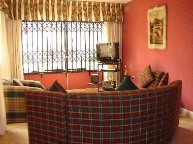 SALON DEL APARTAMENTO 