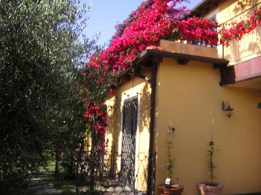 Casa de vacaciones en diano castello (Imperia)Casa de vacaciones