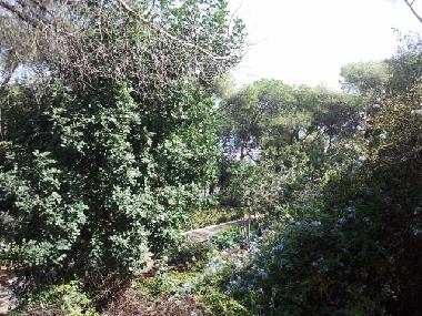 Apartamento de vacaciones en haifa (Hefa (Haifa))Casa de vacaciones