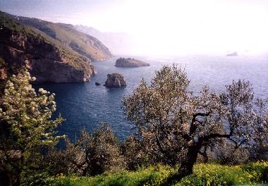 Casa de vacaciones en Nerano (Massa Lubrense) - Sorrento (Napoli)Casa de vacaciones