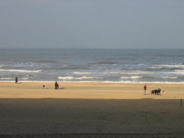 Apartamento de vacaciones en koksijde (Flandes)Casa de vacaciones