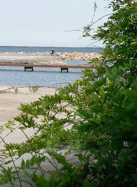 Casa de vacaciones en Marseillan (Hrault)Casa de vacaciones