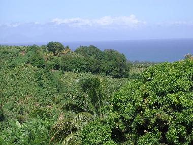 Casa de vacaciones en Le Lorrain (Martinique)Casa de vacaciones