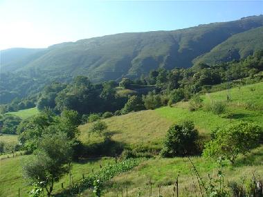 Apartamento de vacaciones en Infiesto (Asturias)Casa de vacaciones