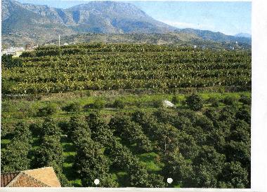 Apartamento de vacaciones en Mahmutlar (Antalya)Casa de vacaciones