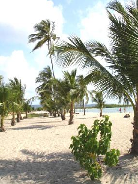 Playa en frente del complejo