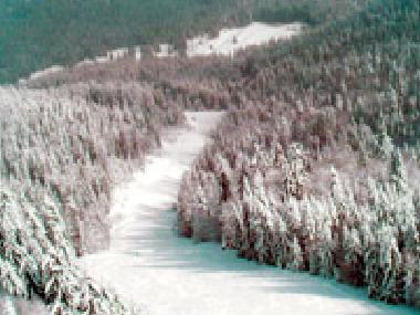 Cama y desayuno en smolyan (Smolyan)Casa de vacaciones