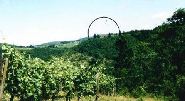 Apartamento de vacaciones en Greve in Chianti (Firenze)Casa de vacaciones