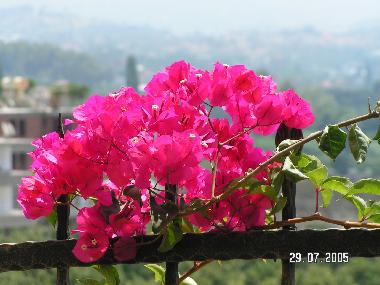 Apartamento de vacaciones en Cikcilli (Antalya)Casa de vacaciones