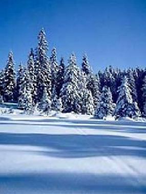 Apartamento de vacaciones en Freyung (Niederbayern)Casa de vacaciones
