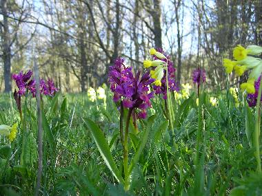 Casa de vacaciones en Valdemarsvik (�sterg�tland)Casa de vacaciones