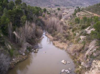 Cama y desayuno en Lorcha/l'Orxa (Alicante / Alacant)Casa de vacaciones