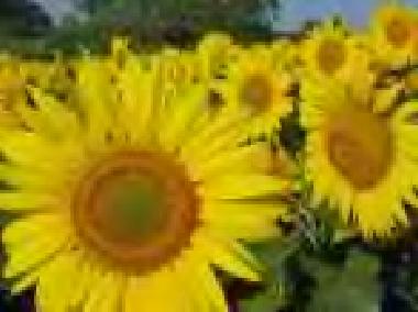 Casa de vacaciones en Montmoreau (Charente)Casa de vacaciones