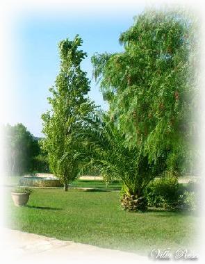 Casa de vacaciones en CASTELLAMMARE DEL GOLFO (Trapani)Casa de vacaciones