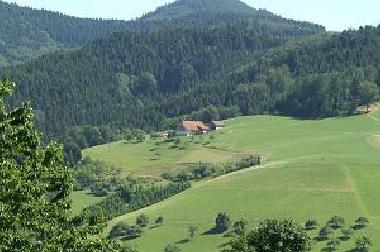 Apartamento de vacaciones en Oberharmersbach (Schwarzwald)Casa de vacaciones