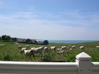 Casa de vacaciones en sainte marguerite sur mer (Seine-Maritime)Casa de vacaciones