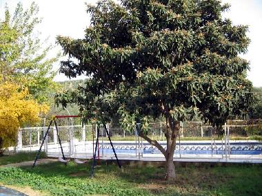 Casa de vacaciones en Iznajar (Crdoba)Casa de vacaciones