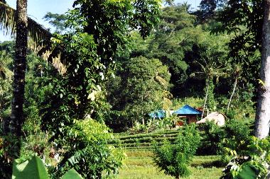 Casa de vacaciones en Tirtagangga (Bali)Casa de vacaciones