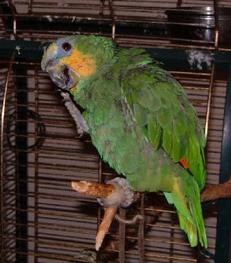 Apartamento de vacaciones en Chef-Boutonne (Deux-Svres)Casa de vacaciones