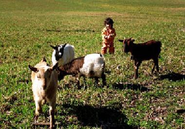Cama y desayuno en Montecatini Val di Cecina (Pisa)Casa de vacaciones