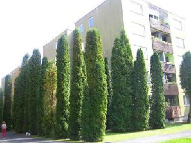 Apartamento de vacaciones en H�v�z (Zala)Casa de vacaciones