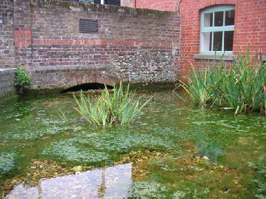 Apartamento de vacaciones en Havant (Hampshire and Isle of Wight)Casa de vacaciones