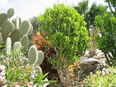 Apartamento de vacaciones en Pafos (Paphos)Casa de vacaciones