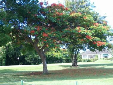 Apartamento de vacaciones en Christ Church (Christ Church)Casa de vacaciones