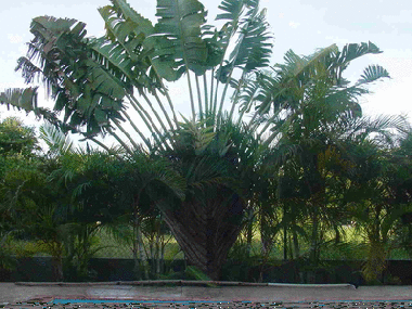 Apartamento de vacaciones en Mont Choisy (Pamplemousses)Casa de vacaciones