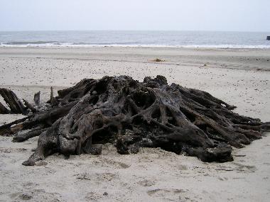 Apartamento de vacaciones en Graal-M�ritz (Mecklenburgische Ostseek�ste)Casa de vacaciones