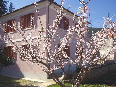 Apartamento de vacaciones en Veli Losinj (Primorsko-Goranska)Casa de vacaciones